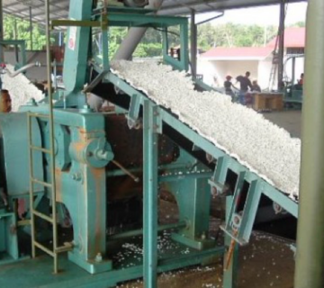 CREPE DE CAOUTCHOUC - 1er 2ieme 3ieme PASSAGE DES ROULEAUX DU MACERATEUR