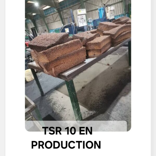 TSR 10 EN PRODUCTION