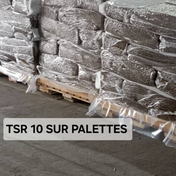 TSR 10 SUR PALETTES