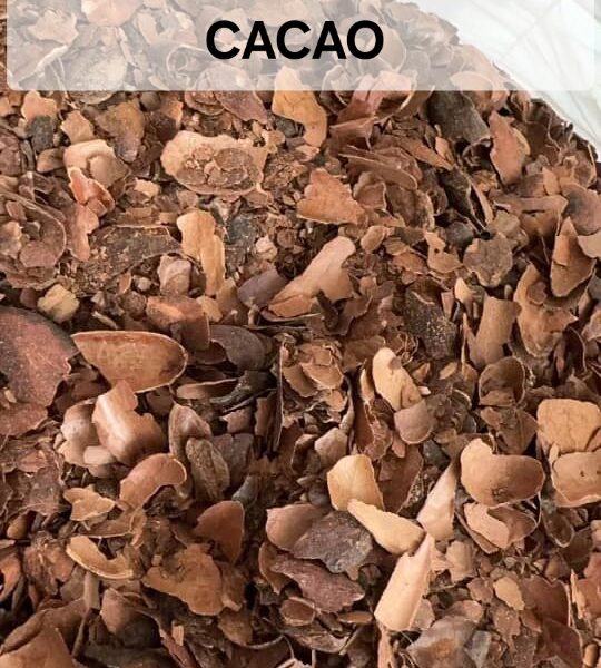COQUES DE FÈVES DE CACAO