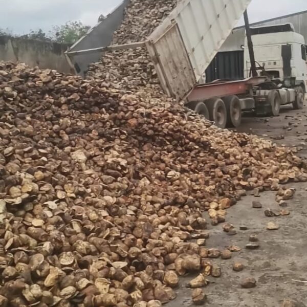 DÉCHARGEMENT À L'USINE