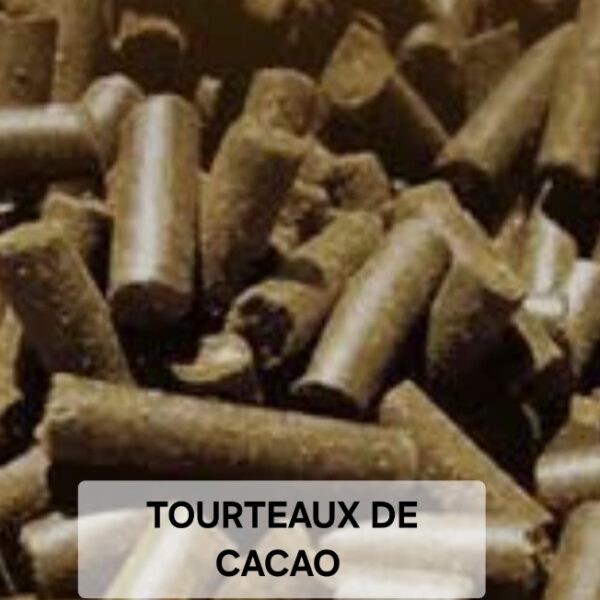 TOURTEAUX DE CACAO