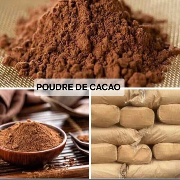 POUDRE DE CACAO