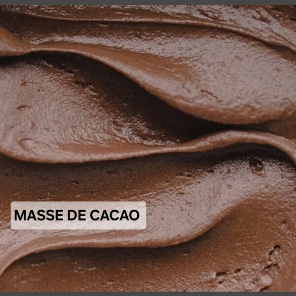 MASSE DE CACAO