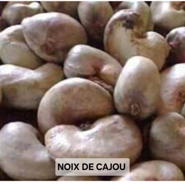 NOIX DE CAJOU